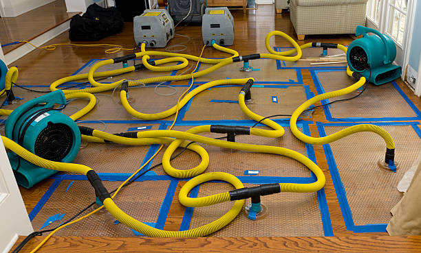 Professional Basement Flood Cleanup technician working in Cottage Grove, MN
